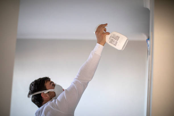 Best Mold Removal Process  in Parklawn, CA