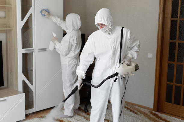 Best Toxic Mold Removal  in Parklawn, CA