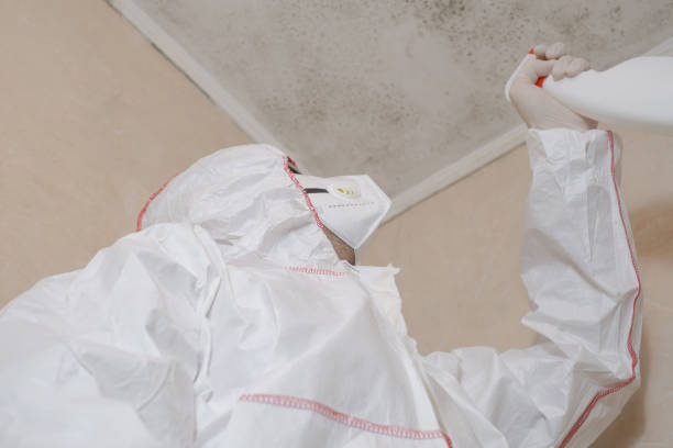 Best Mold Cleaning Services  in Parklawn, CA