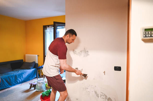 Best Professional Mold Removal  in Parklawn, CA